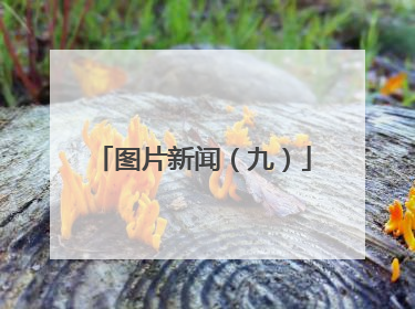 图片新闻（九）