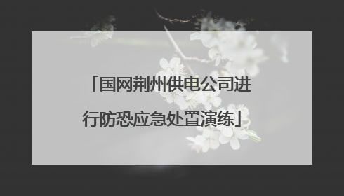 国网荆州供电公司进行防恐应急处置演练