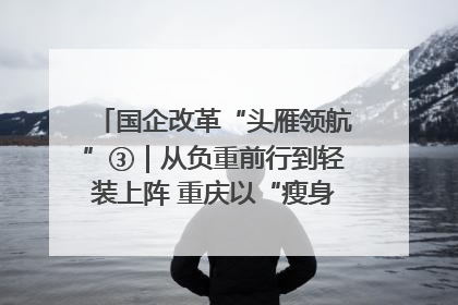 国企改革“头雁领航”③｜从负重前行到轻装上阵 重庆以“瘦身”谋“健体”
