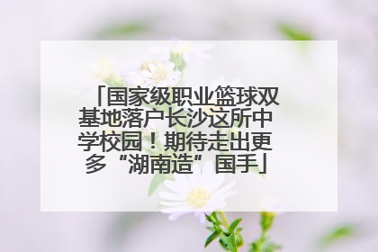 国家级职业篮球双基地落户长沙这所中学校园！期待走出更多“湖南造”国手