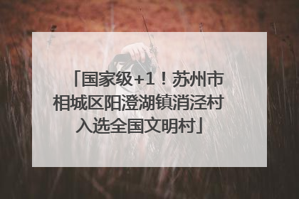 国家级+1！苏州市相城区阳澄湖镇消泾村入选全国文明村