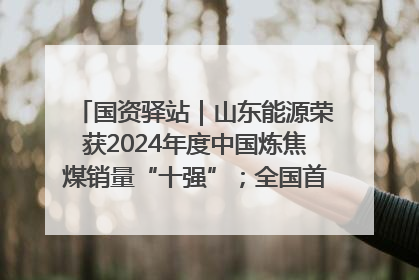 国资驿站｜山东能源荣获2024年度中国炼焦煤销量“十强”；全国首例铁路盖上智慧物流园钢结构主体完工