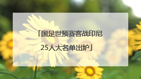 国足世预赛客战印尼25人大名单出炉