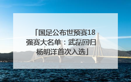 国足公布世预赛18强赛大名单：武磊回归 杨明洋首次入选