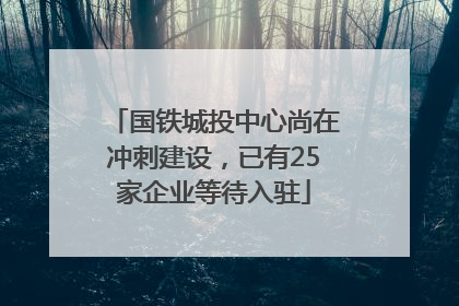 国铁城投中心尚在冲刺建设，已有25家企业等待入驻