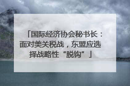 国际经济协会秘书长：面对美关税战，东盟应选择战略性“脱钩”