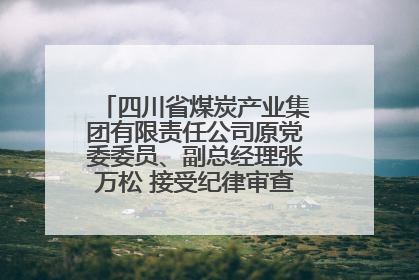 四川省煤炭产业集团有限责任公司原党委委员、副总经理张万松 接受纪律审查和监察调查