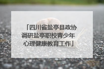 四川省盐亭县政协调研盐亭职校青少年心理健康教育工作