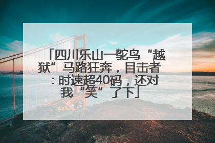 四川乐山一鸵鸟“越狱”马路狂奔，目击者：时速超40码，还对我“笑”了下
