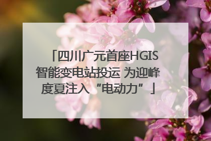 四川广元首座HGIS智能变电站投运 为迎峰度夏注入“电动力”