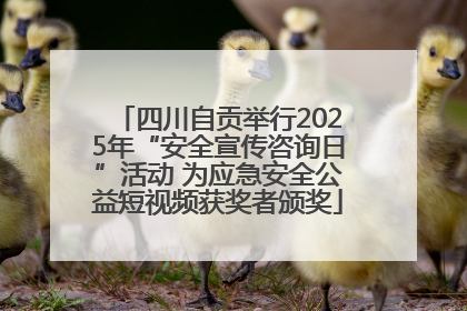 四川自贡举行2025年“安全宣传咨询日”活动 为应急安全公益短视频获奖者颁奖