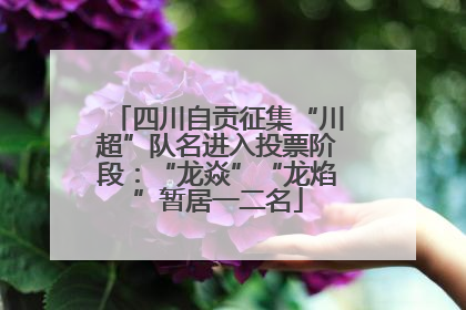 四川自贡征集“川超”队名进入投票阶段：“龙焱”“龙焰”暂居一二名