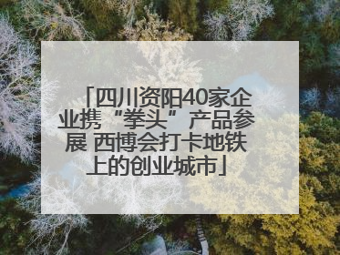 四川资阳40家企业携“拳头”产品参展 西博会打卡地铁上的创业城市