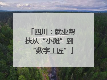 四川：就业帮扶从“小摊”到“数字工匠”