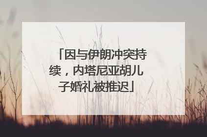 因与伊朗冲突持续，内塔尼亚胡儿子婚礼被推迟