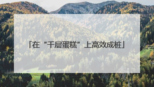 在“千层蛋糕”上高效成桩