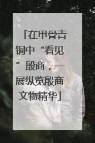 在甲骨青铜中“看见”殷商，一展纵览殷商文物精华