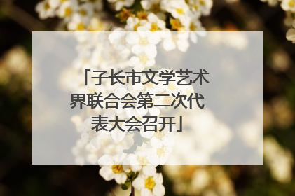 子长市文学艺术界联合会第二次代表大会召开