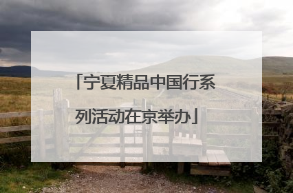 宁夏精品中国行系列活动在京举办