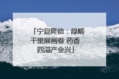 宁夏隆德：绿畴千里展画卷 药香四溢产业兴