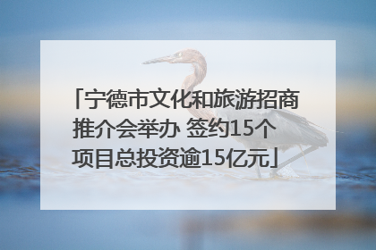 宁德市文化和旅游招商推介会举办 签约15个项目总投资逾15亿元