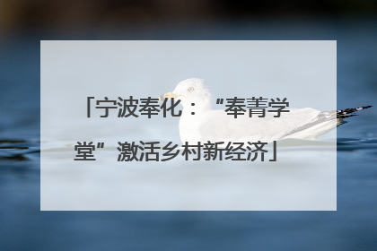 宁波奉化：“奉菁学堂”激活乡村新经济