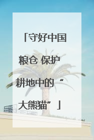 守好中国粮仓 保护耕地中的“大熊猫”