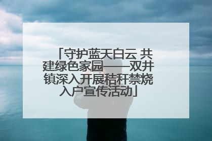 守护蓝天白云 共建绿色家园——双井镇深入开展秸秆禁烧入户宣传活动