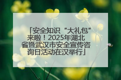 安全知识“大礼包”来啦！2025年湖北省暨武汉市安全宣传咨询日活动在汉举行
