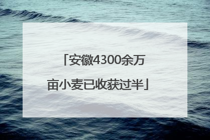 安徽4300余万亩小麦已收获过半