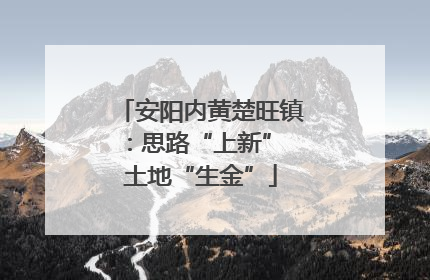 安阳内黄楚旺镇：思路“上新” 土地“生金”