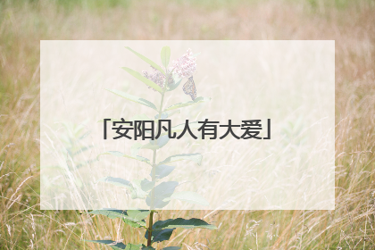 安阳凡人有大爱