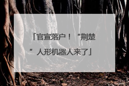 官宣落户！“荆楚”人形机器人来了