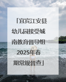 宜宾江安县幼儿园接受城南教育督导组2025年春期常规督查