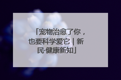 宠物治愈了你，也要科学爱它｜新民·健康新知