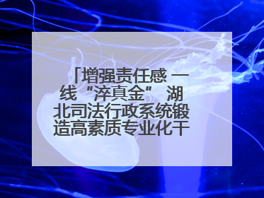 增强责任感 一线“淬真金” 湖北司法行政系统锻造高素质专业化干警队伍