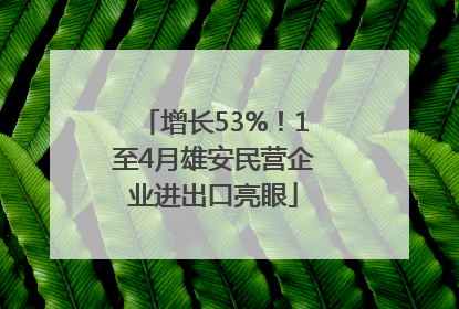 增长53%！1至4月雄安民营企业进出口亮眼