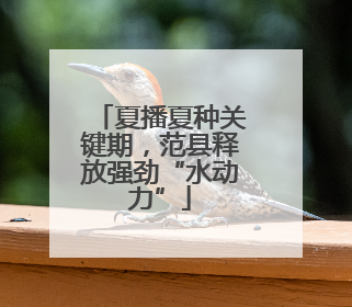 夏播夏种关键期，范县释放强劲“水动力”