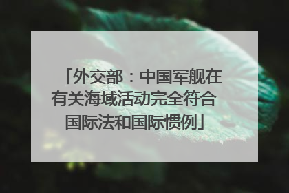 外交部：中国军舰在有关海域活动完全符合国际法和国际惯例