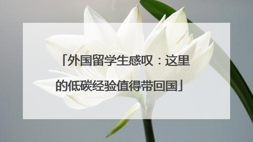 外国留学生感叹：这里的低碳经验值得带回国
