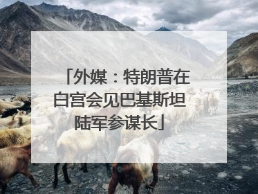 外媒：特朗普在白宫会见巴基斯坦陆军参谋长