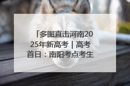 多图直击河南2025年新高考｜高考首日：南阳考点考生信心满满迎战