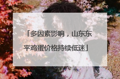 多因素影响，山东东平鸡蛋价格持续低迷