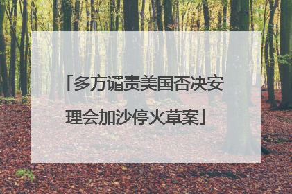 多方谴责美国否决安理会加沙停火草案