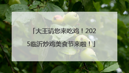大王请您来吃鸡！2025临沂炒鸡美食节来啦！