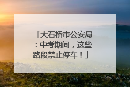 大石桥市公安局：中考期间，这些路段禁止停车！