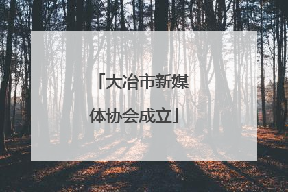 大冶市新媒体协会成立
