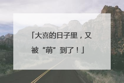大喜的日子里，又被“萌”到了！