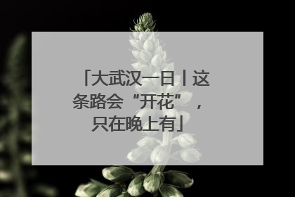 大武汉一日丨这条路会“开花”，只在晚上有