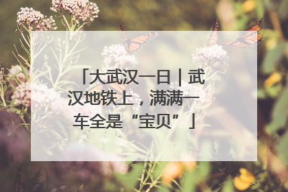 大武汉一日｜武汉地铁上，满满一车全是“宝贝”